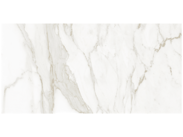 Anatolia Tile ? 24X48 La Marca Calacatta Paonazzo Honed Porcelain Tile 15.5 Sqft/Box